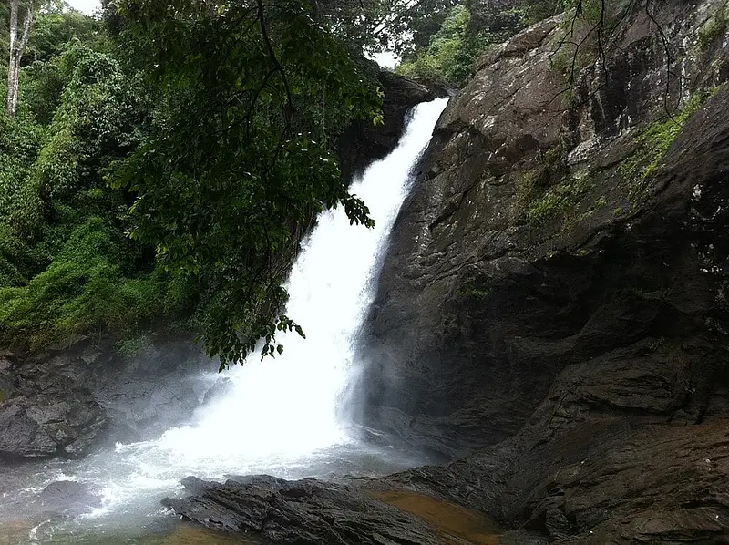 https://avathioutdoors.gumlet.io/travelGuide/dev/wayanad_P5579.jpg