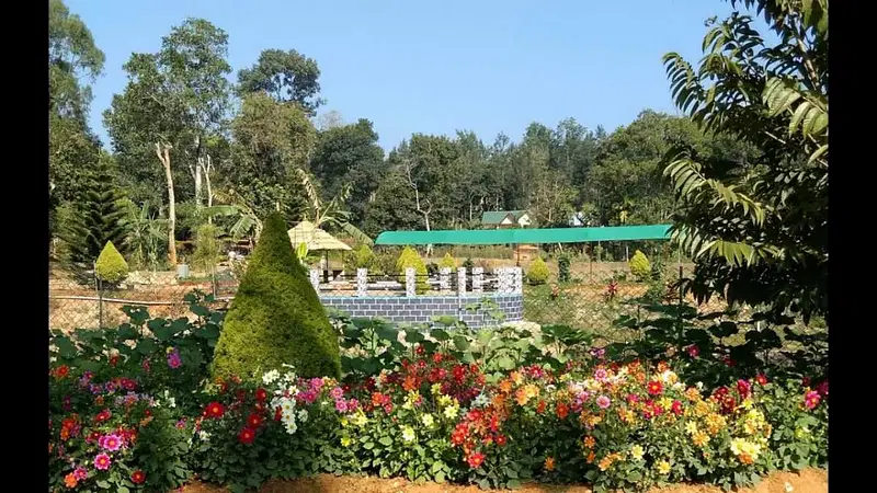 https://avathioutdoors.gumlet.io/travelGuide/dev/wayanad_P8652.jpg