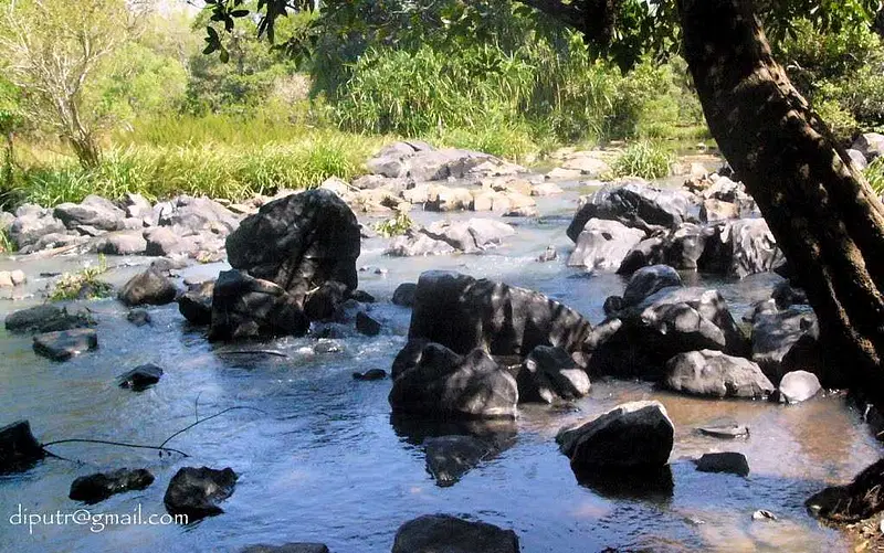 https://avathioutdoors.gumlet.io/travelGuide/dev/wayanad_P9982.jpg