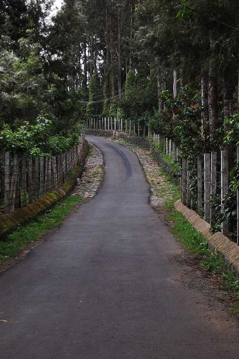 https://avathioutdoors.gumlet.io/travelGuide/dev/yercaud72456.jpg